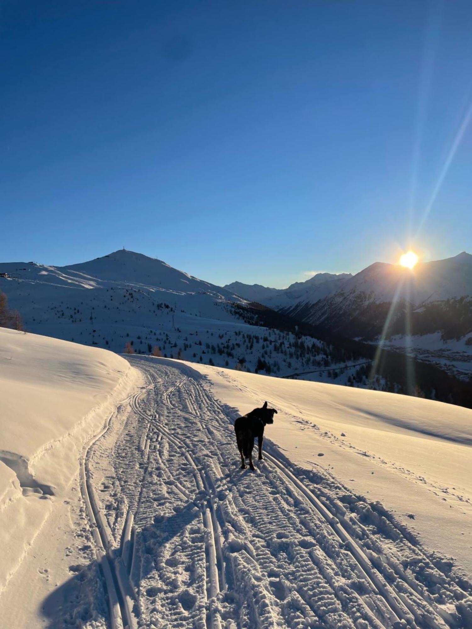 Appartamento alle porte di Bormio Valdisotto Esterno foto
