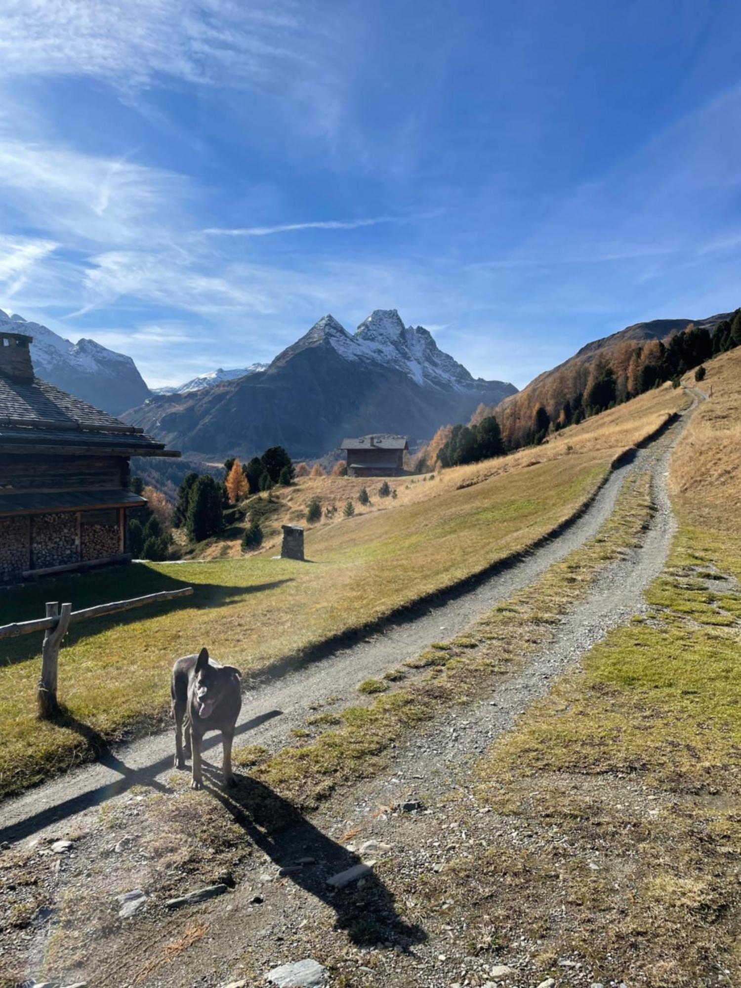 Appartamento alle porte di Bormio Valdisotto Esterno foto
